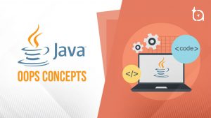 5 OOPS Concepts in Java | Inheritance | Polymorphism | Abstraction